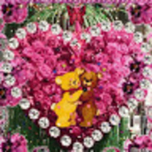 Meet your Posher, Sofía